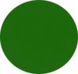 Puder akrylowy kolorowy 5 g średnia zieleń