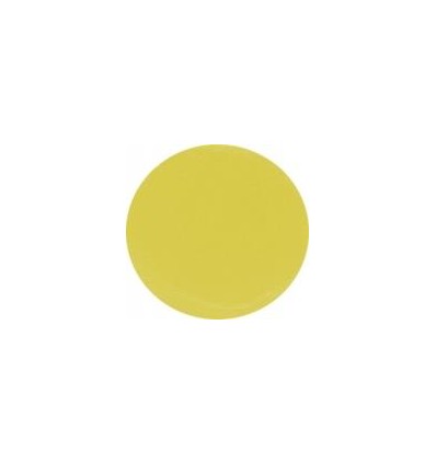 Puder akrylowy kolorowy 5g pastelowa żółć